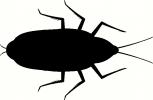 Insect (5) vinyl decal